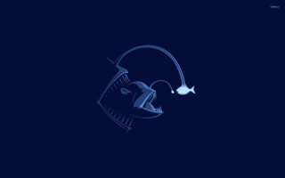 Blue drawing head light fish - carpoforo tencalla free wallpaper