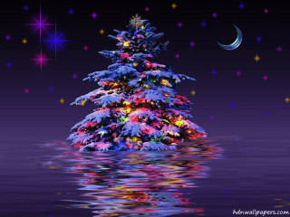 Christmas tree night sky stars - the night sky free wallpaper