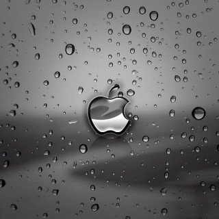 Black white apple logo rainy - window free wallpaper for tablet