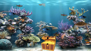 Underwater edenbox aquarium fish corals - a large aquarium free wallpaper