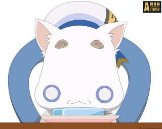 Cartoon cow plate hat cat - a plate free wallpaper