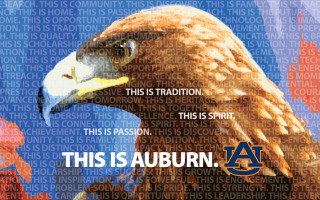 Bald eagle auburn tradition passion - anne said free wallpaper