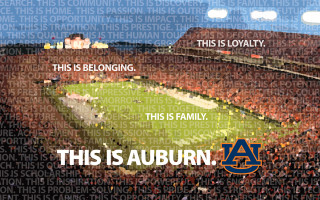 Stadium large field crowd auburn - a large field free wallpaper