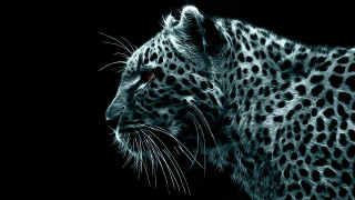 Leopard face black white red - a red eye free wallpaper for desktop