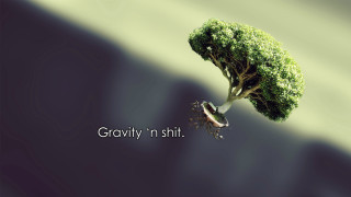 Tree bird flying quote gravity - a quote above free wallpaper