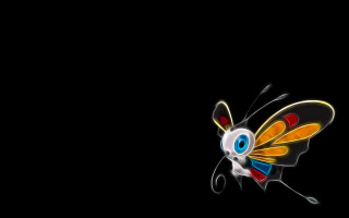 Colorful butterfly black background red - a colorful butterfly free wallpaper