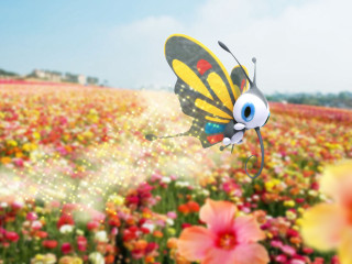 Butterfly flying field flowers sky - a butterfly free wallpaper for desktop