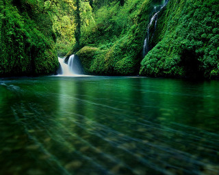 Waterfall green forest clear river - a green forest free wallpaper