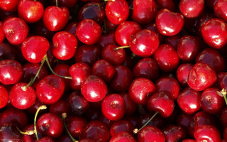 Cherries pile red fruit tabletop - boetius adamsz bolswert free wallpaper