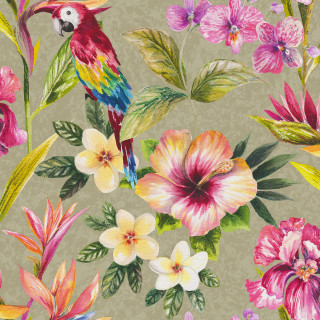 Bird flowers green background leaves - free bird wallpaper for tablet