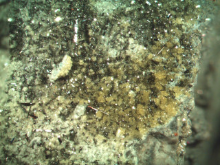 Close up rock dirt grass - a close up of a rock free wallpaper