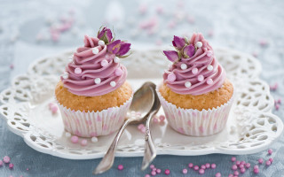 Cupcakes pink frosting white plate - pastel free wallpaper