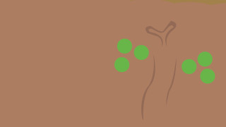 Tree green leaves brown background - exekia free wallpaper