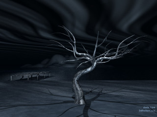 Bare tree barren area bench - surrealism free wallpaper