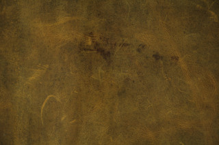 Brown background bird tree leaves - a small bird free wallpaper