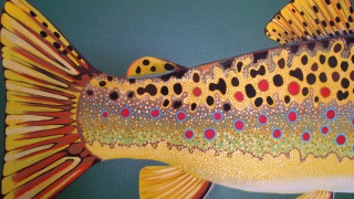 Spotted fish painting body tail - spot free wallpaper