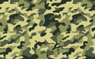 Camouflage green pattern similar image 2 - viennese actionism free wallpaper