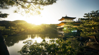 Pagoda lake forest sunlight trees - japan free wallpaper