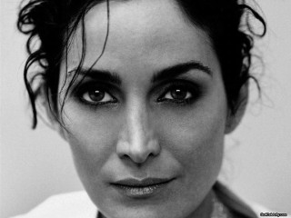 Woman tie shirt wet hair - portrait free wallpaper