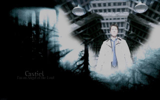 Man white coat blue tie - dean roger free wallpaper