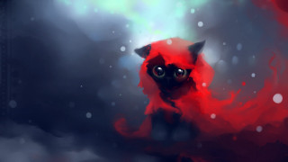 Red cat big eyes sitting - free cats wallpaper for desktop