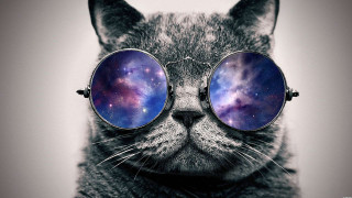 Cat glasses galaxy image lens - len free wallpaper