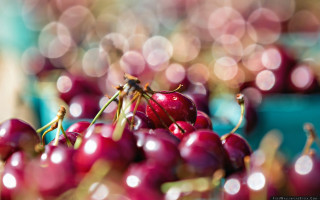 Cherries table bokeh macro professional - a bunch of cherries free wallpaper