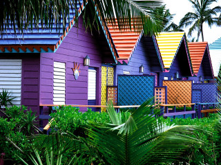 Colorful houses palm trees blue - albert irvin free wallpaper