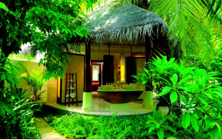 Tropical bathroom tub sink greenery - tropical free wallpaper for desktop