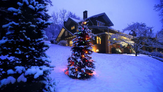 Christmas tree lit house snow - a christmas tree free wallpaper for desktop
