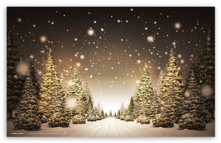 Snowy scene trees snow falling 2 - a snowy scene free wallpaper