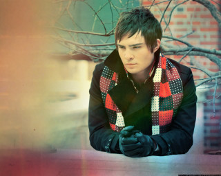 Man bench jacket gloves tree - handsome free wallpaper