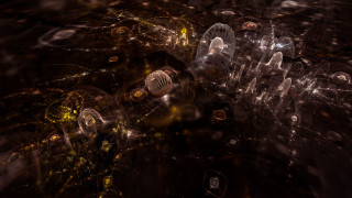 Bottles dark room lights bubbles - image of a bunch free wallpaper