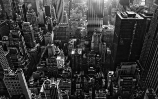 Black white cityscape skyscrapers sunlight - city free wallpaper