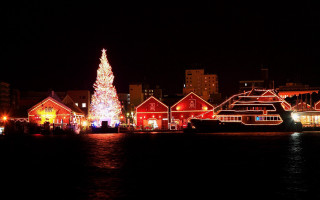 Christmas tree city night water - the water and a boat in the foreground free wallpaper