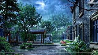 Rainy street gazebo trees bench 2 - rainy free wallpaper