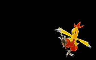 Bird red tail flying black - the left side of the image free wallpaper