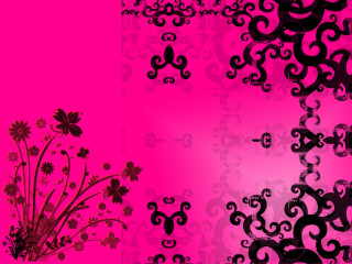 Pink black wall flower plant - wall free wallpaper for desktop