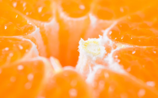 Oranges water droplets yellow center - assemblage free wallpaper