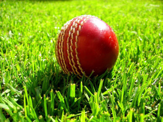 Red cricket ball green field - a lush green field of grass free wallpaper