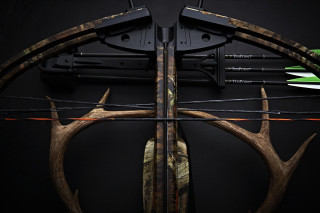 Bow arrows black surface green - symmetry accurate features free wallpaper