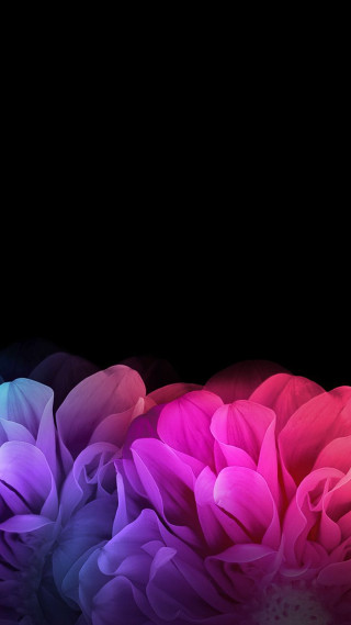 Blue rose bouquet hydrangea pink - a bunch of flowers free wallpaper for mobile