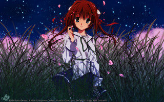 Girl field grass red hair - long red hair free wallpaper