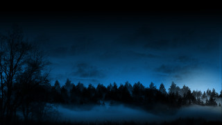 Dark forest fog trees cloudy - a dark forest free wallpaper