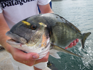 Man holding fish near water - lostfish free wallpaper for desktop