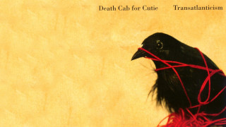 Black bird red string yellow - its neck free wallpaper
