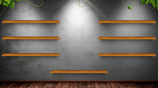 Shelves plants wall wooden floor - a minimalist painting free wallpaper for desktop