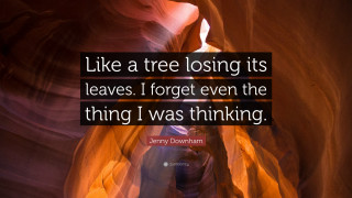Canyon quote background image - a canyon free wallpaper