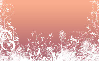 White pink floral background text - a text free wallpaper