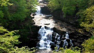 Waterfall forest trees river bridge - a waterfall in a forest free wallpaper
